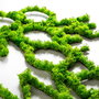 Wallity Do More Of What Makes You Happy Verde